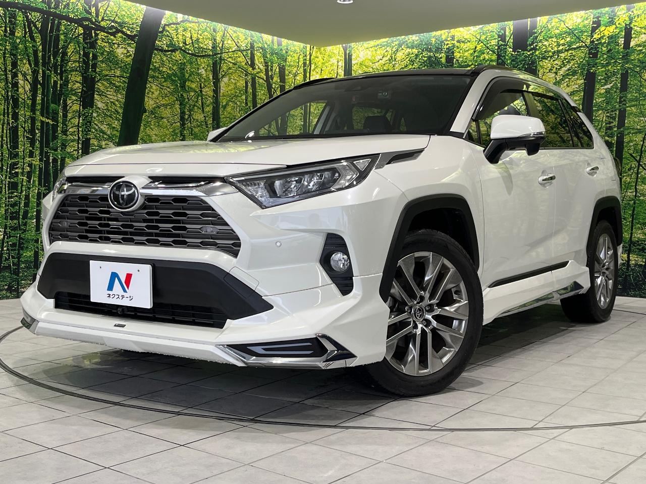 2020 Toyota RAV4 5D G Z Package