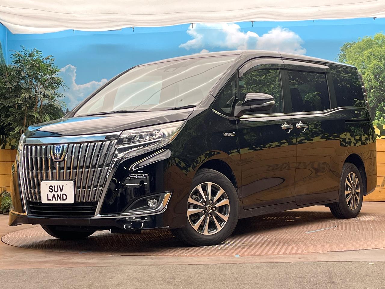 2017 Toyota Esquire Hybrid Hybrid Gi Premium Package