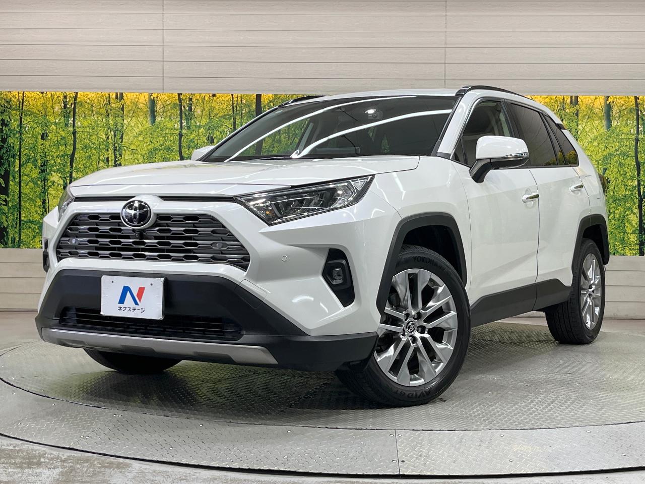 2022 Toyota RAV4 5D G Z Package