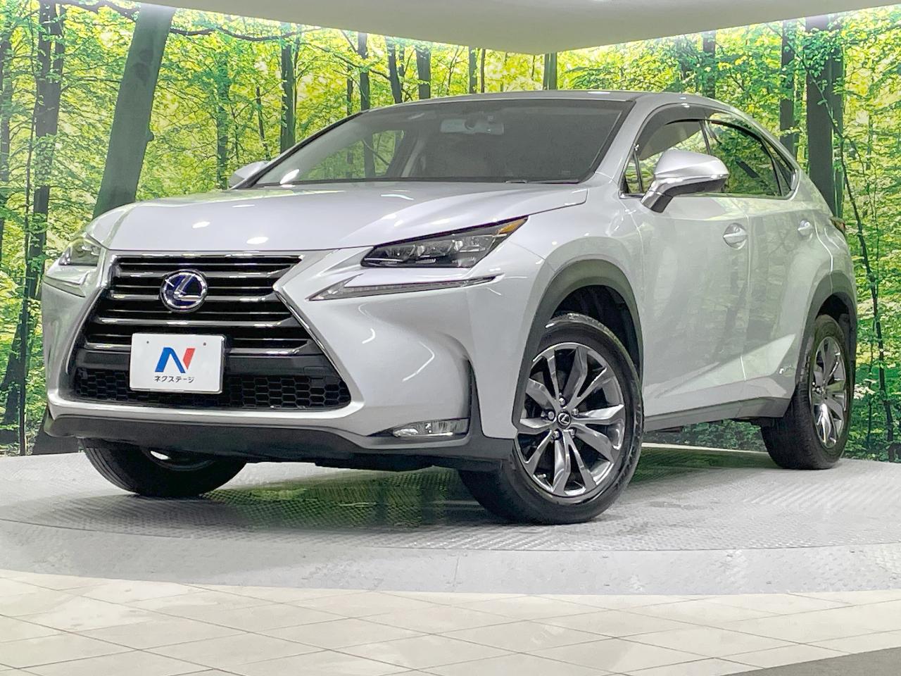 2015 Lexus NX Hybrid NX300h I Package