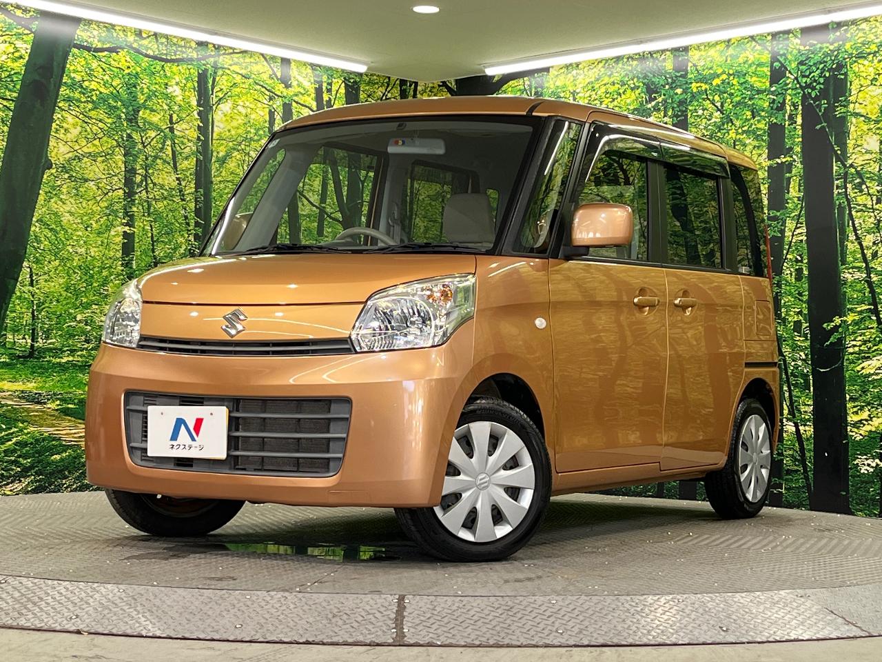 2014 Suzuki Spacia X