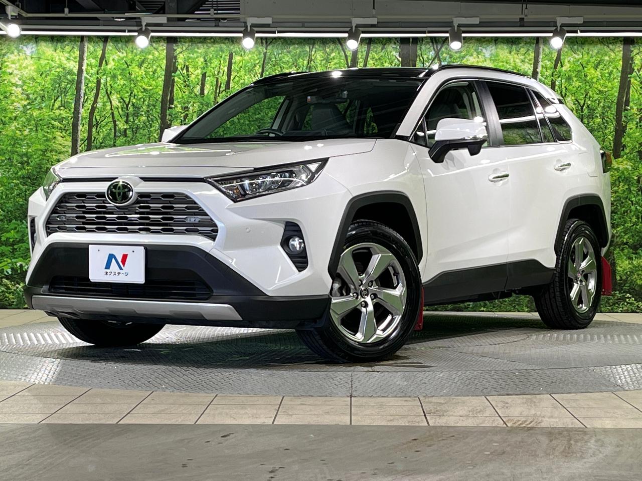 2019 Toyota RAV4 5D G