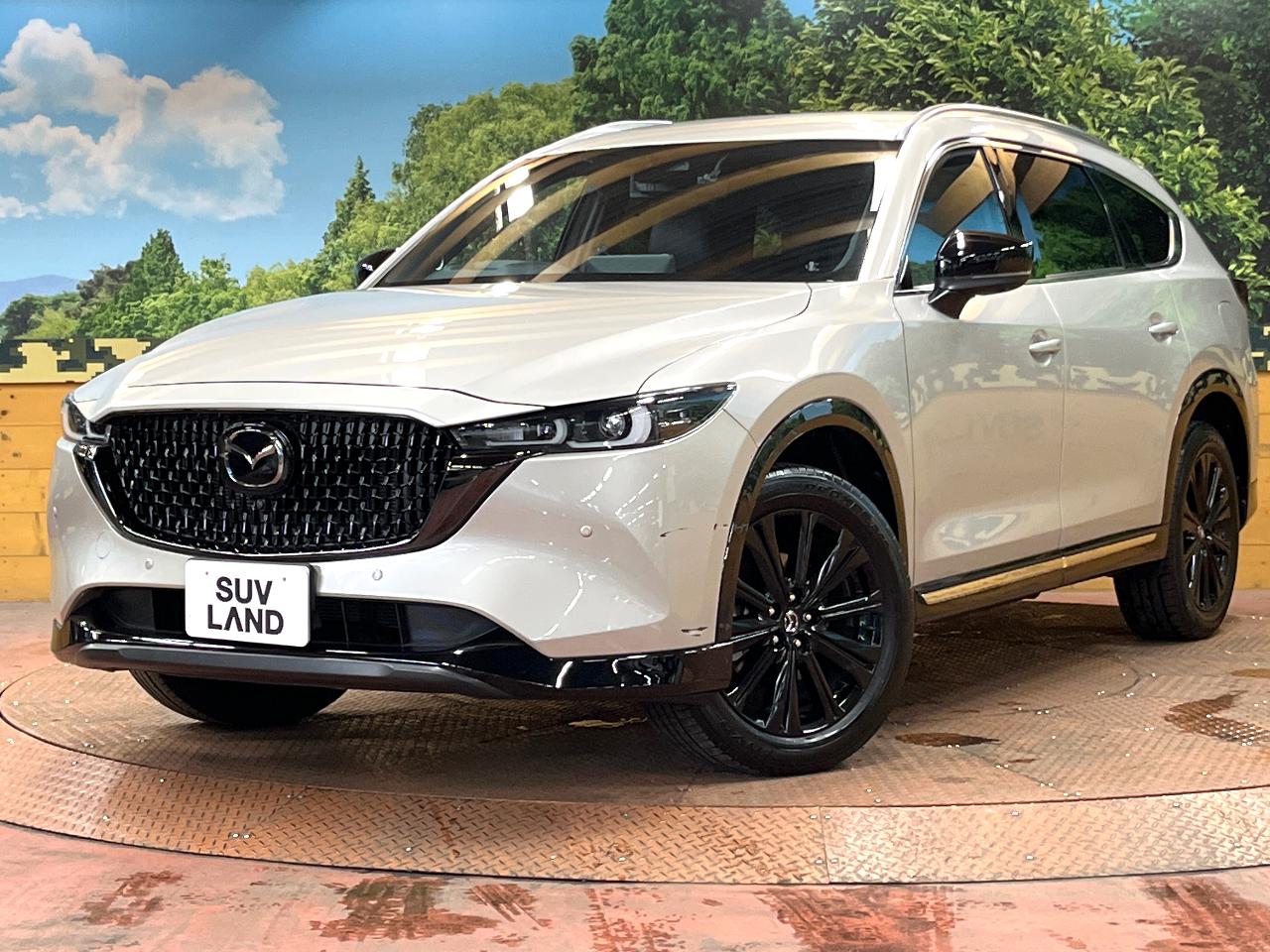 2024 Mazda CX-8 25S Sports Appearance