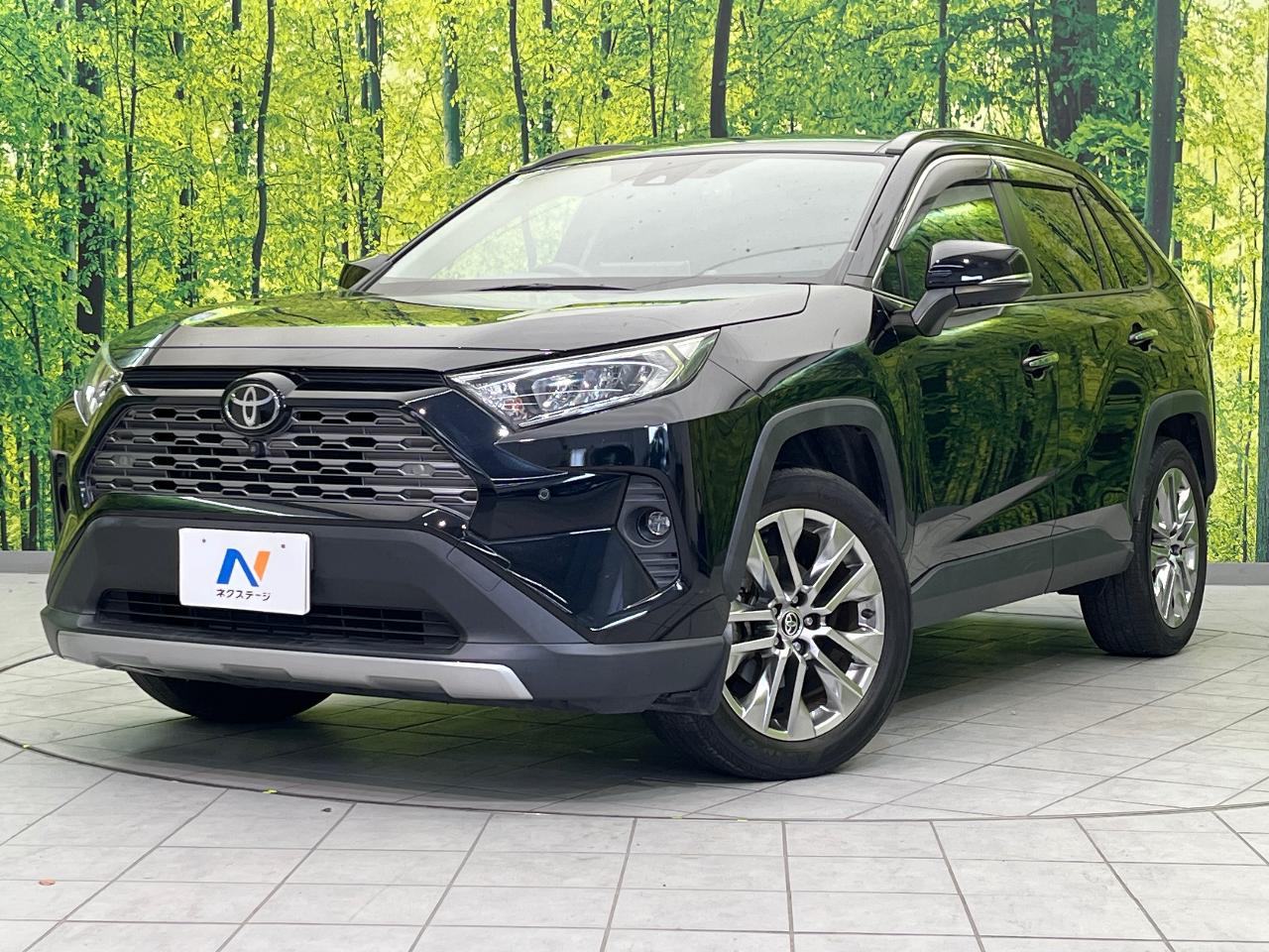 2021 Toyota RAV4 5D G Z Package