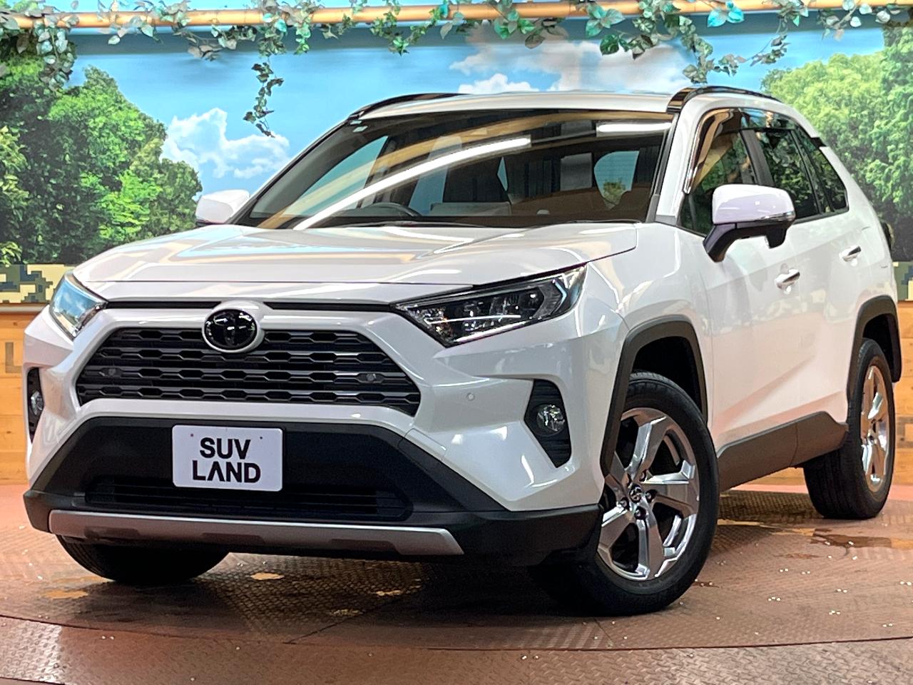 2019 Toyota RAV4 5D G
