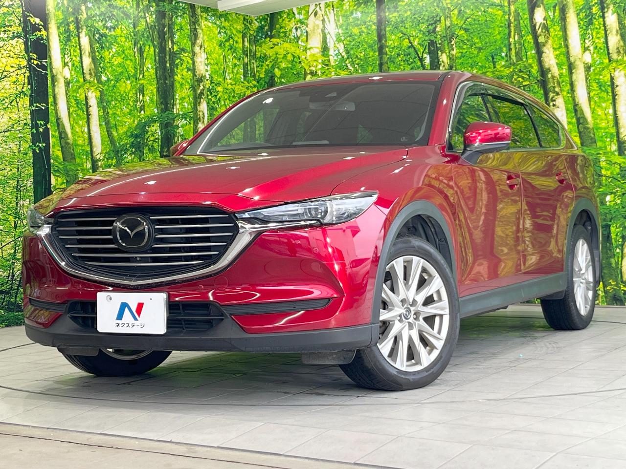 2018 Mazda CX-8 XD Proactive