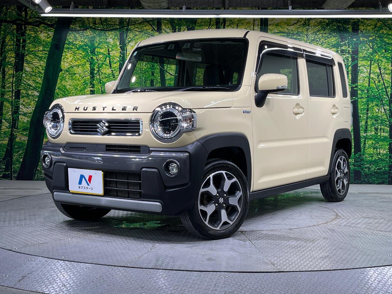 2020 Suzuki Hustler Hybrid X