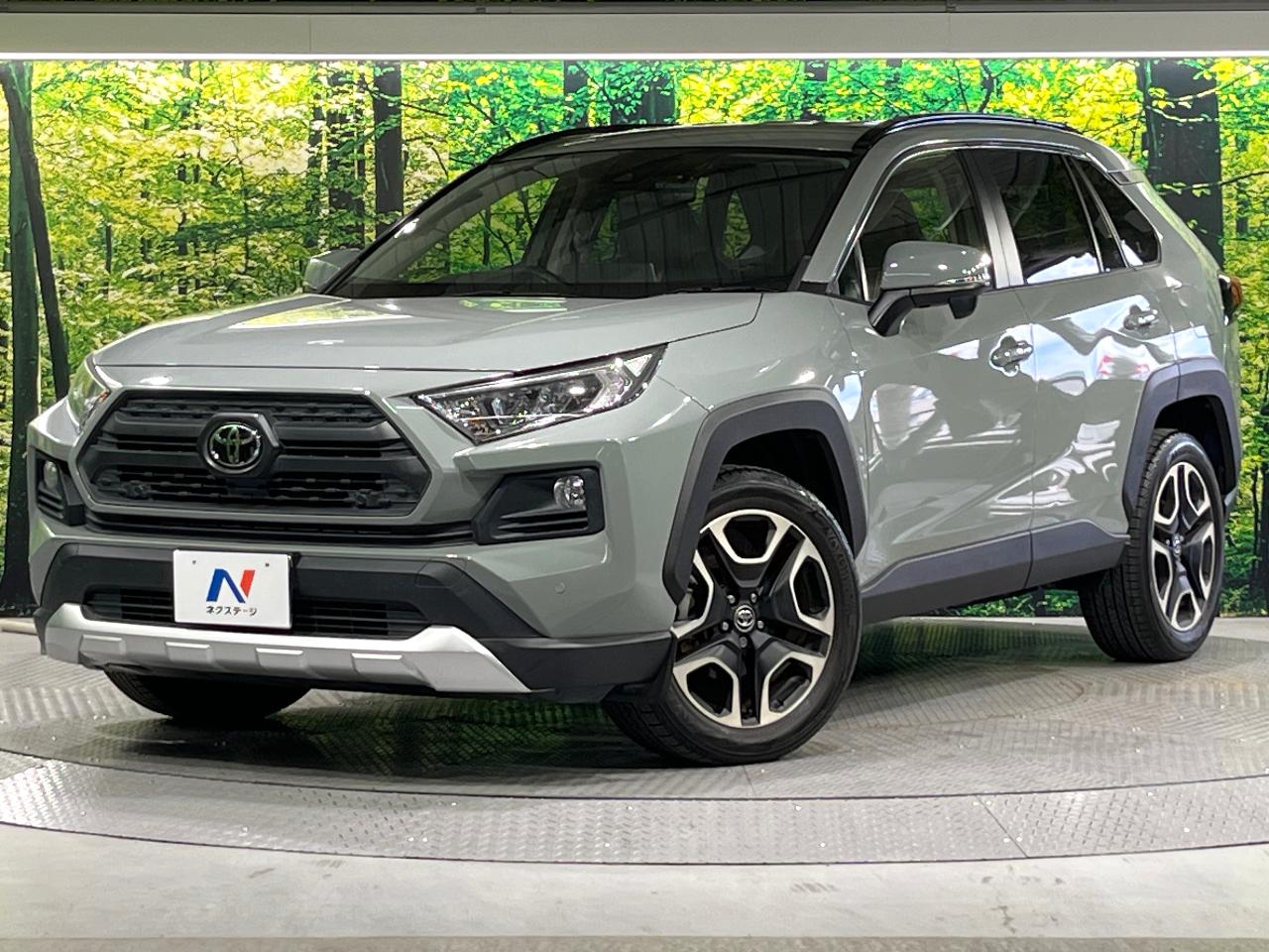 2019 Toyota RAV4 5D Adventure