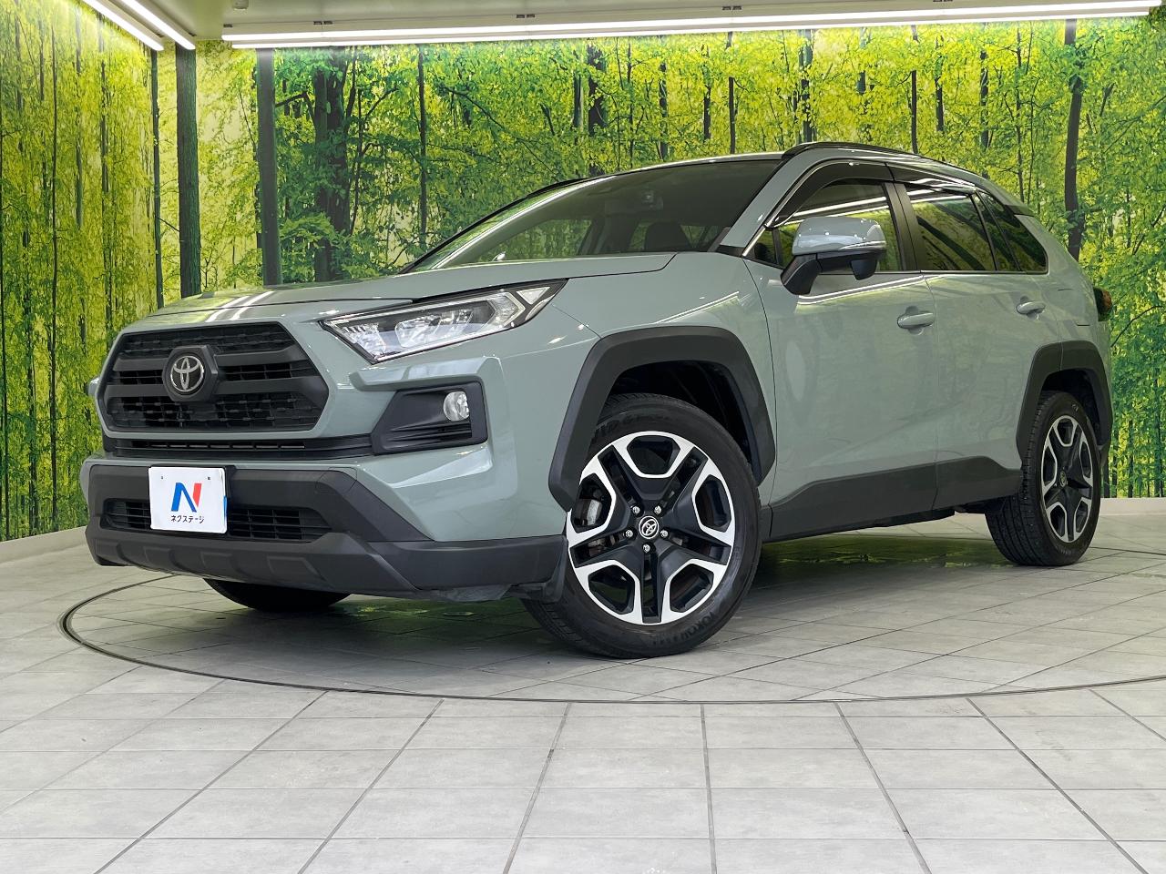 2019 Toyota RAV4 5D Adventure