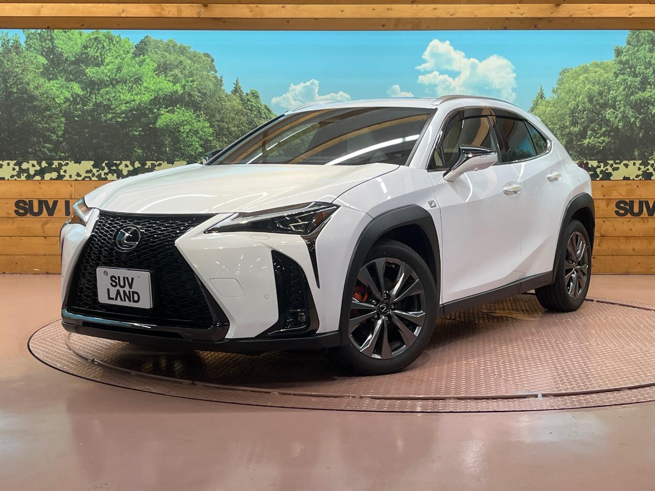 2024 Lexus UX Hybrid UX300h F SPORT