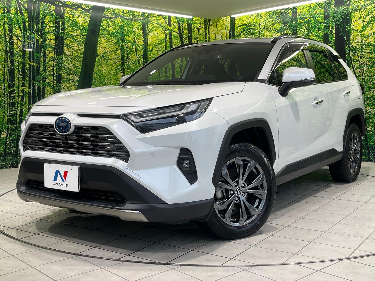 2023 Toyota RAV4 Hybrid Hybrid G