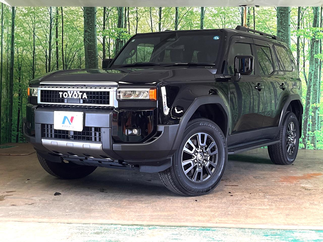 2025 Toyota LandCruiser 250 VX
