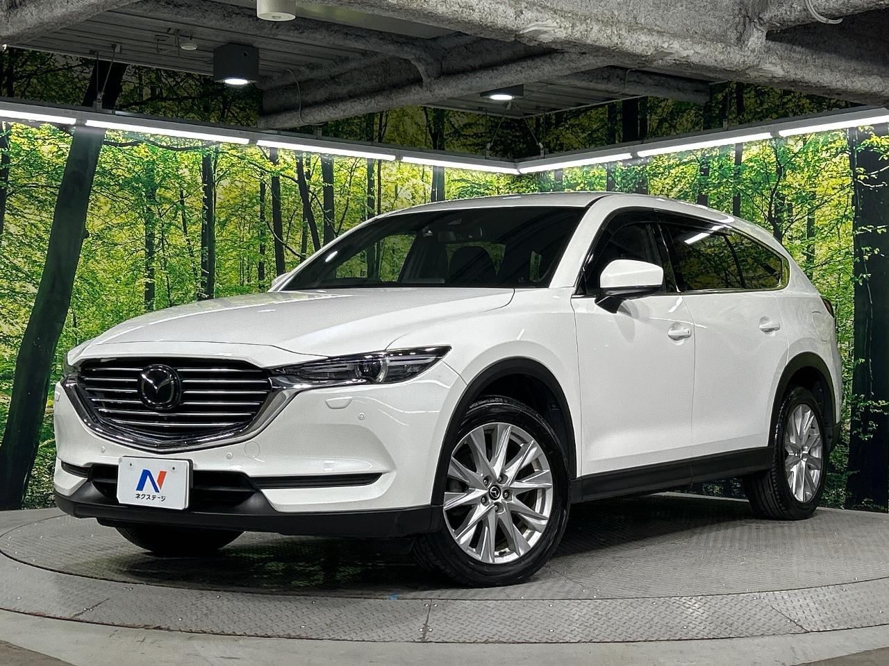 2018 Mazda CX-8 XD Proactive