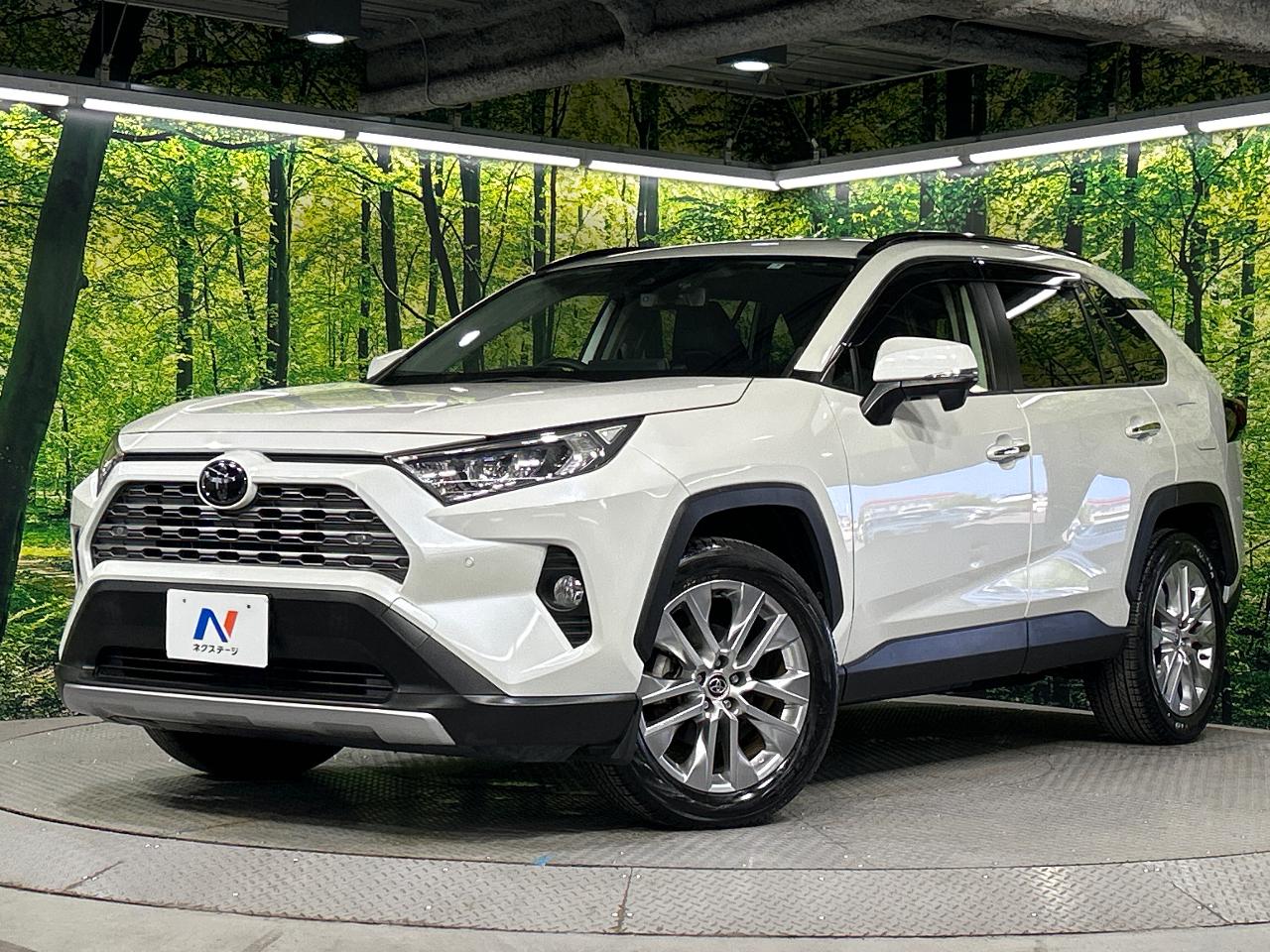2019 Toyota RAV4 5D G Z Package