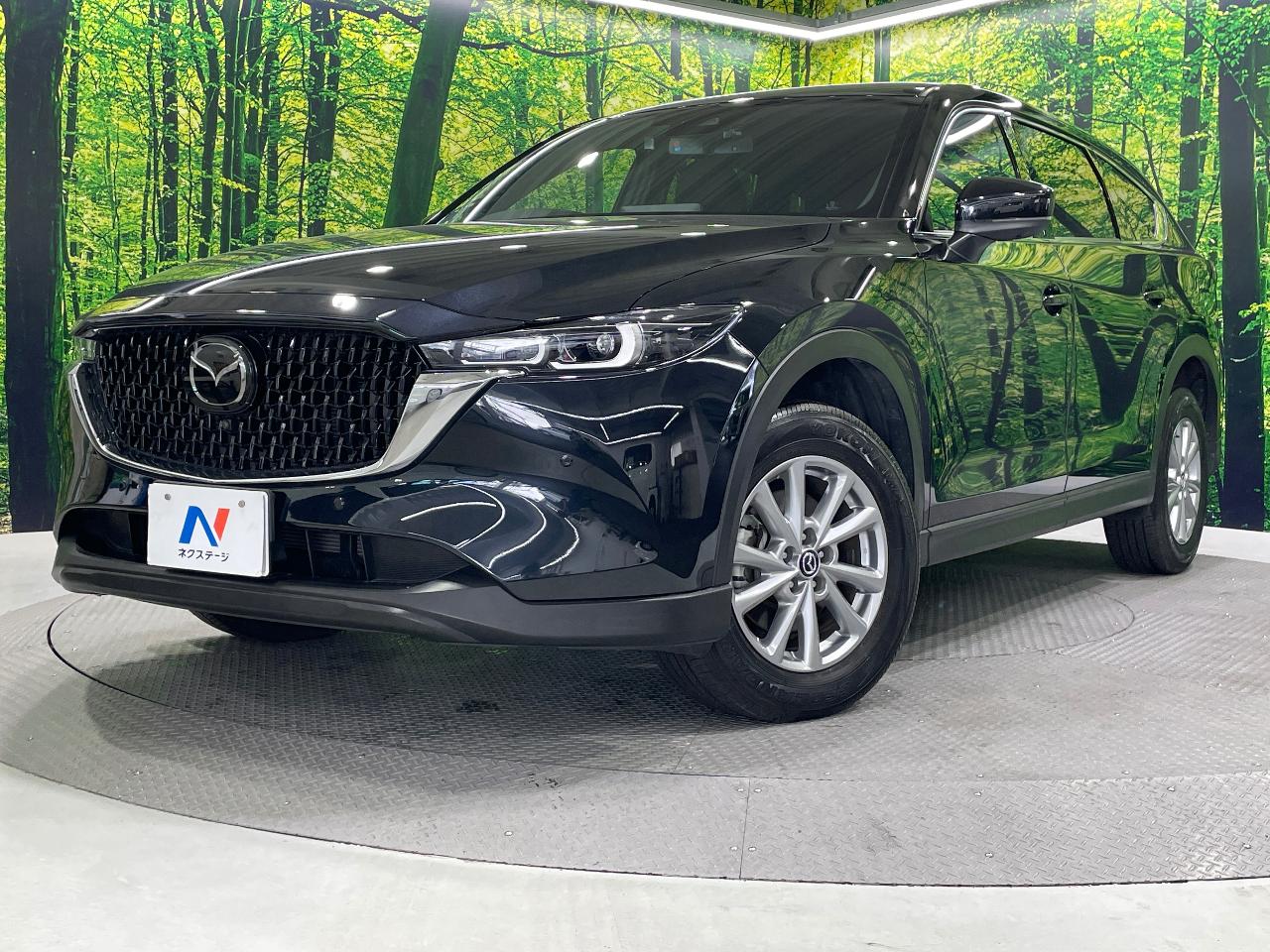 2023 Mazda CX-8 25S