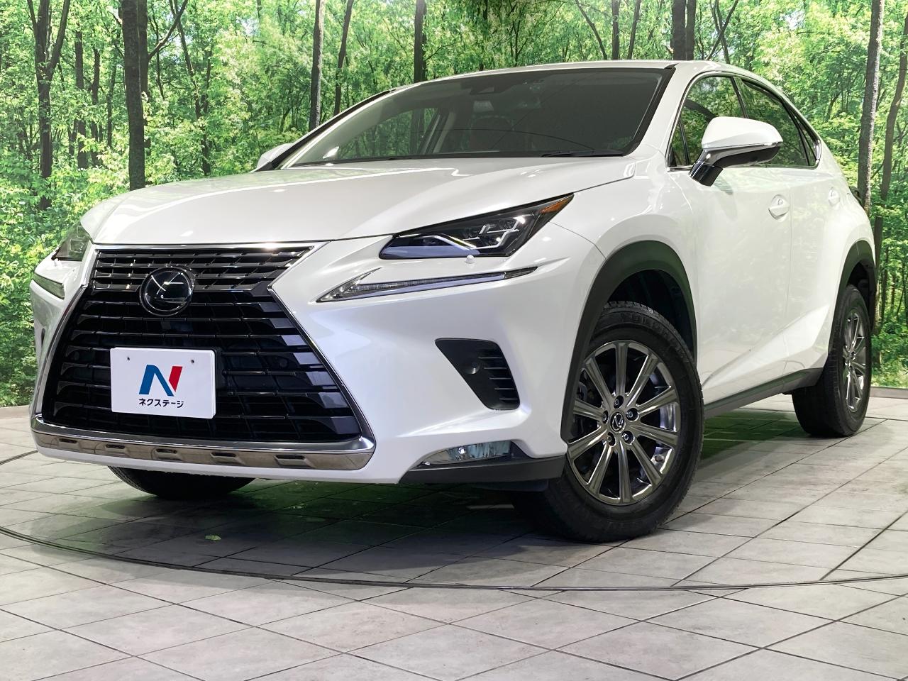 2019 Lexus NX NX300i Package
