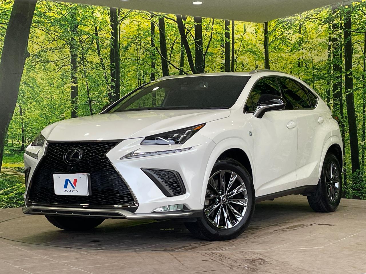 2020 Lexus NX NX300 Cool & Bright Special Edition
