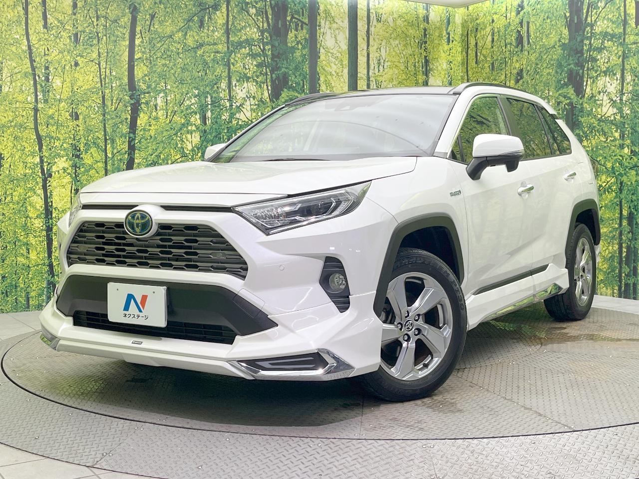 2020 Toyota RAV4 Hybrid Hybrid G