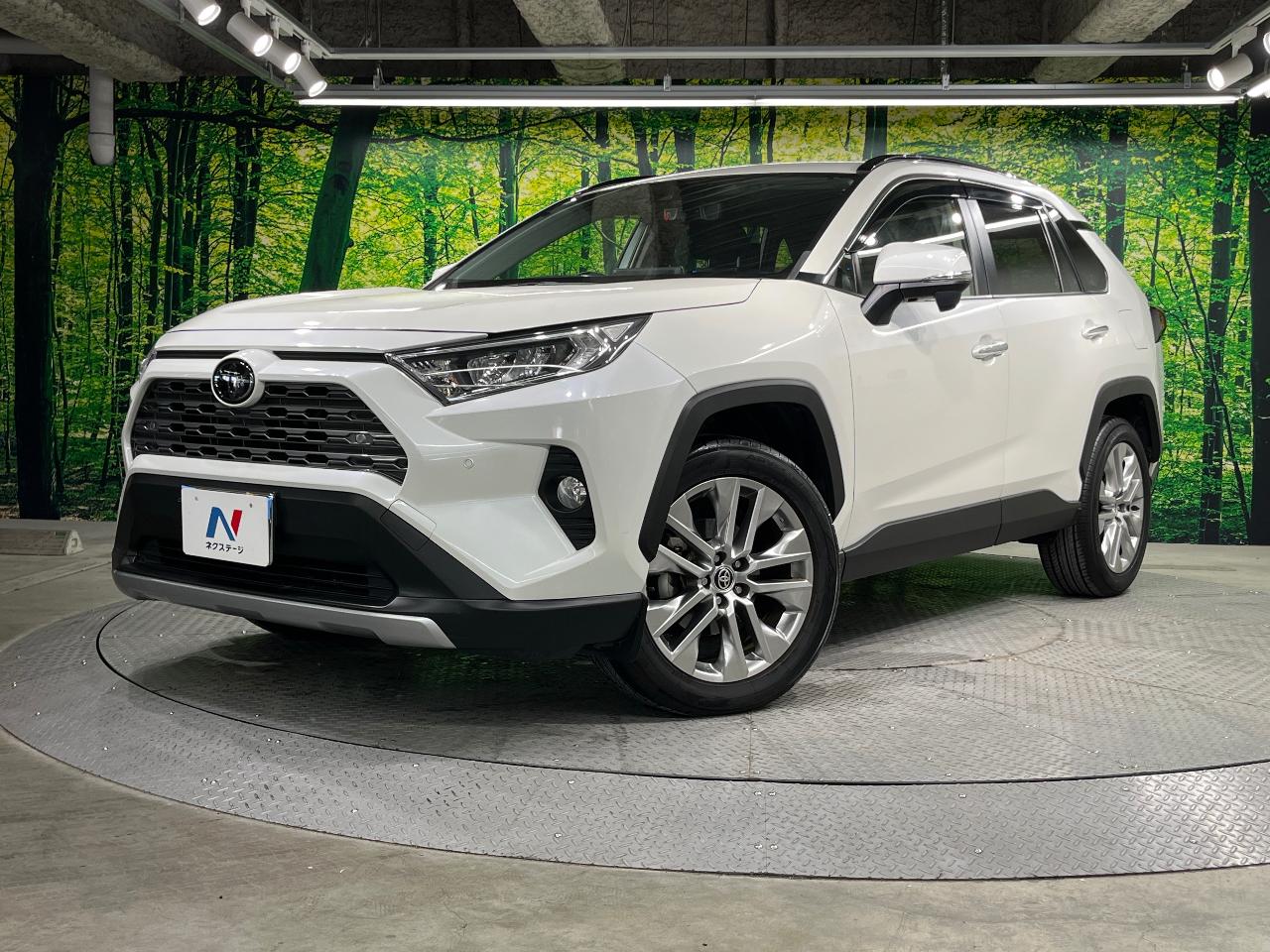 2020 Toyota RAV4 5D G Z Package