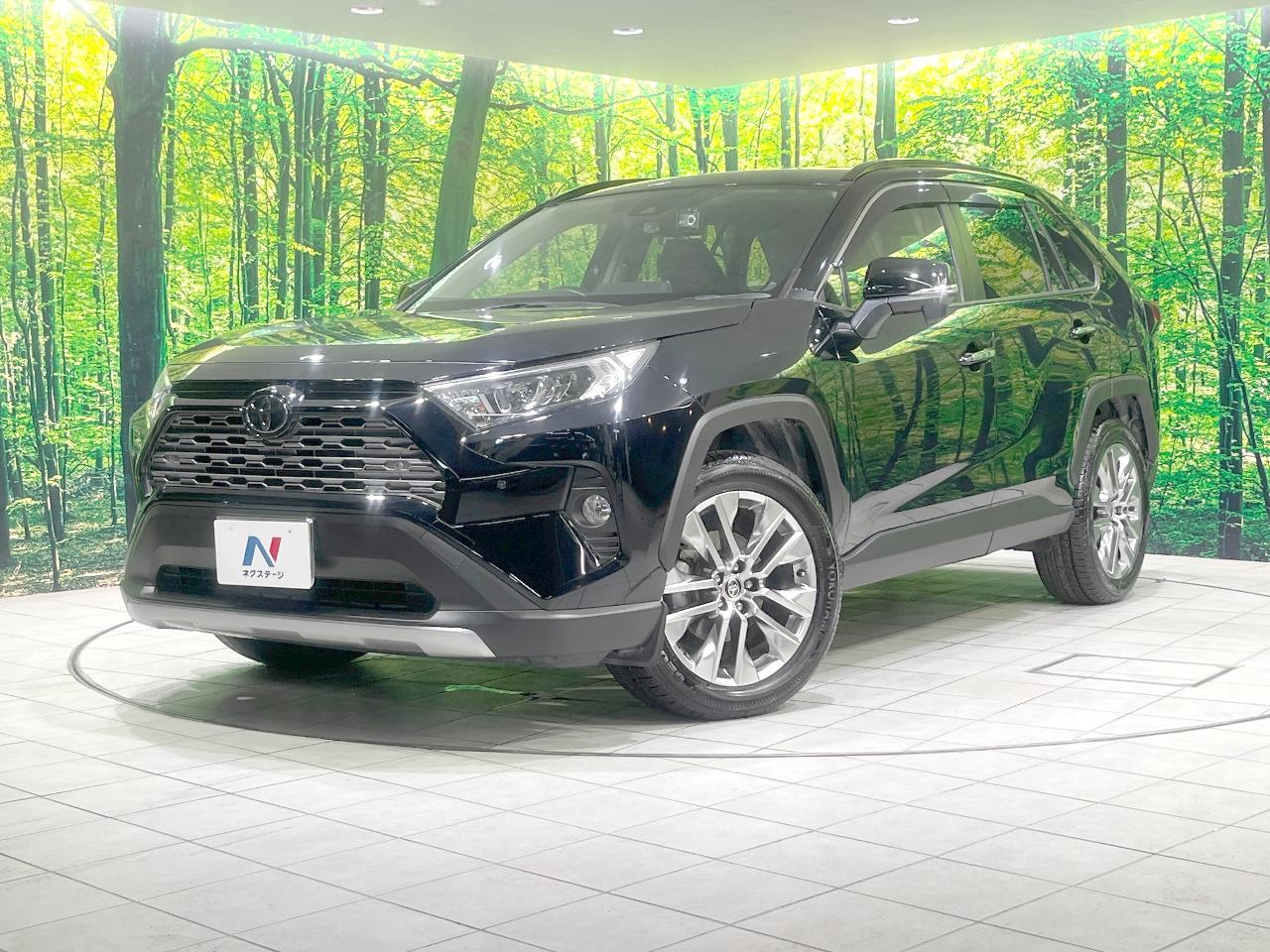 2019 Toyota RAV4 5D G Z Package