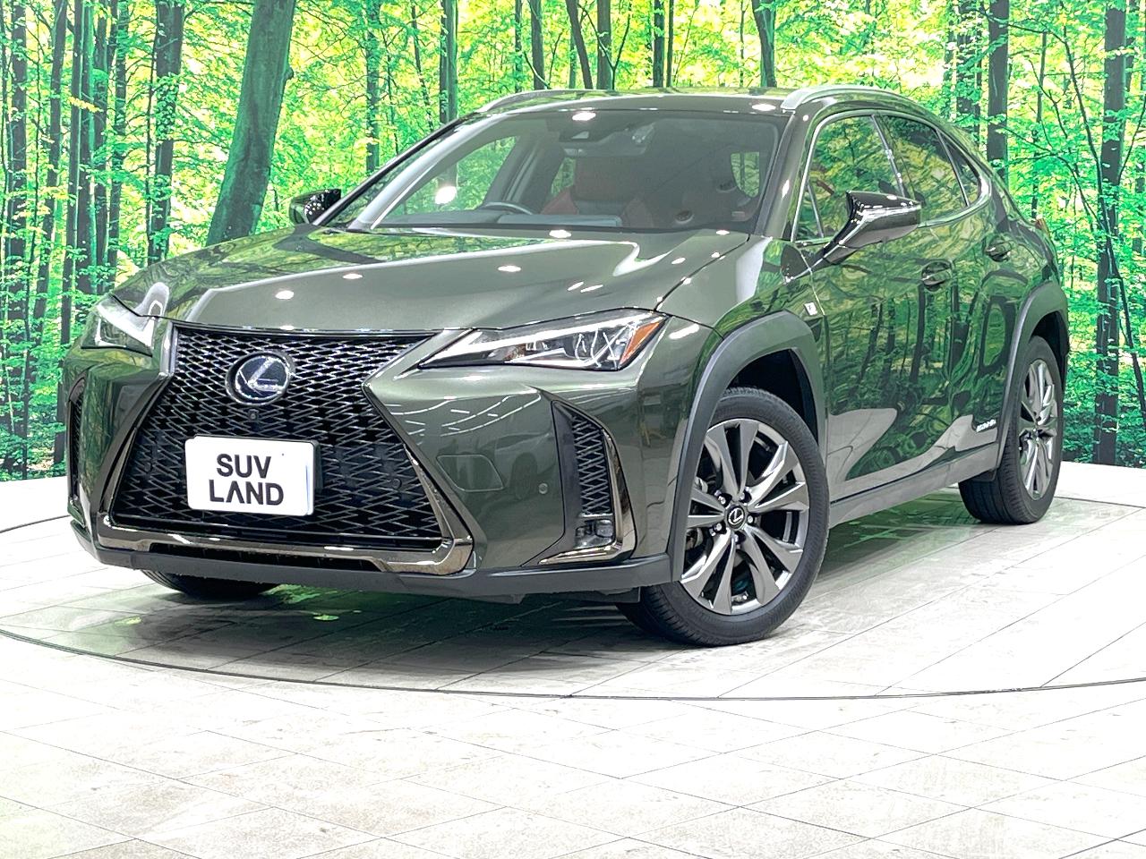 2020 Lexus UX Hybrid UX250h F SPORT
