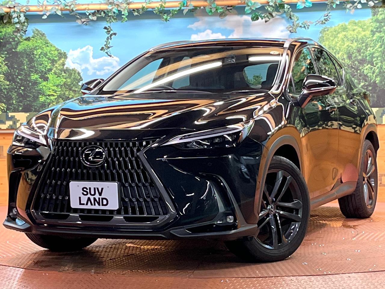 2022 Lexus NX Hybrid NX350h VERSION L