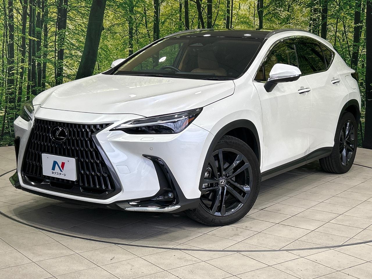 2023 Lexus NX Hybrid NX350h VERSION L