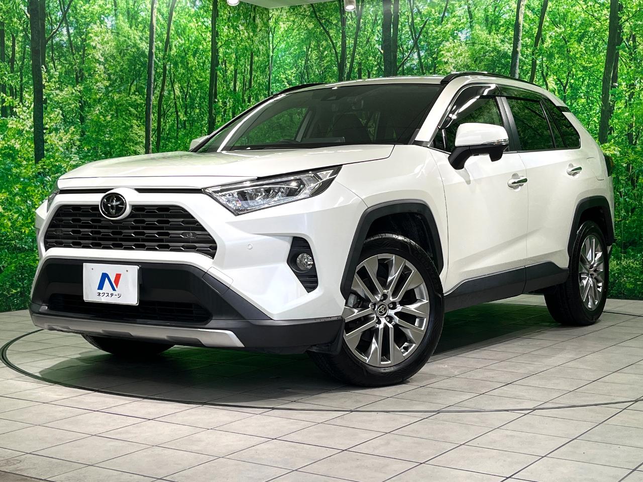 2020 Toyota RAV4 5D G Z Package