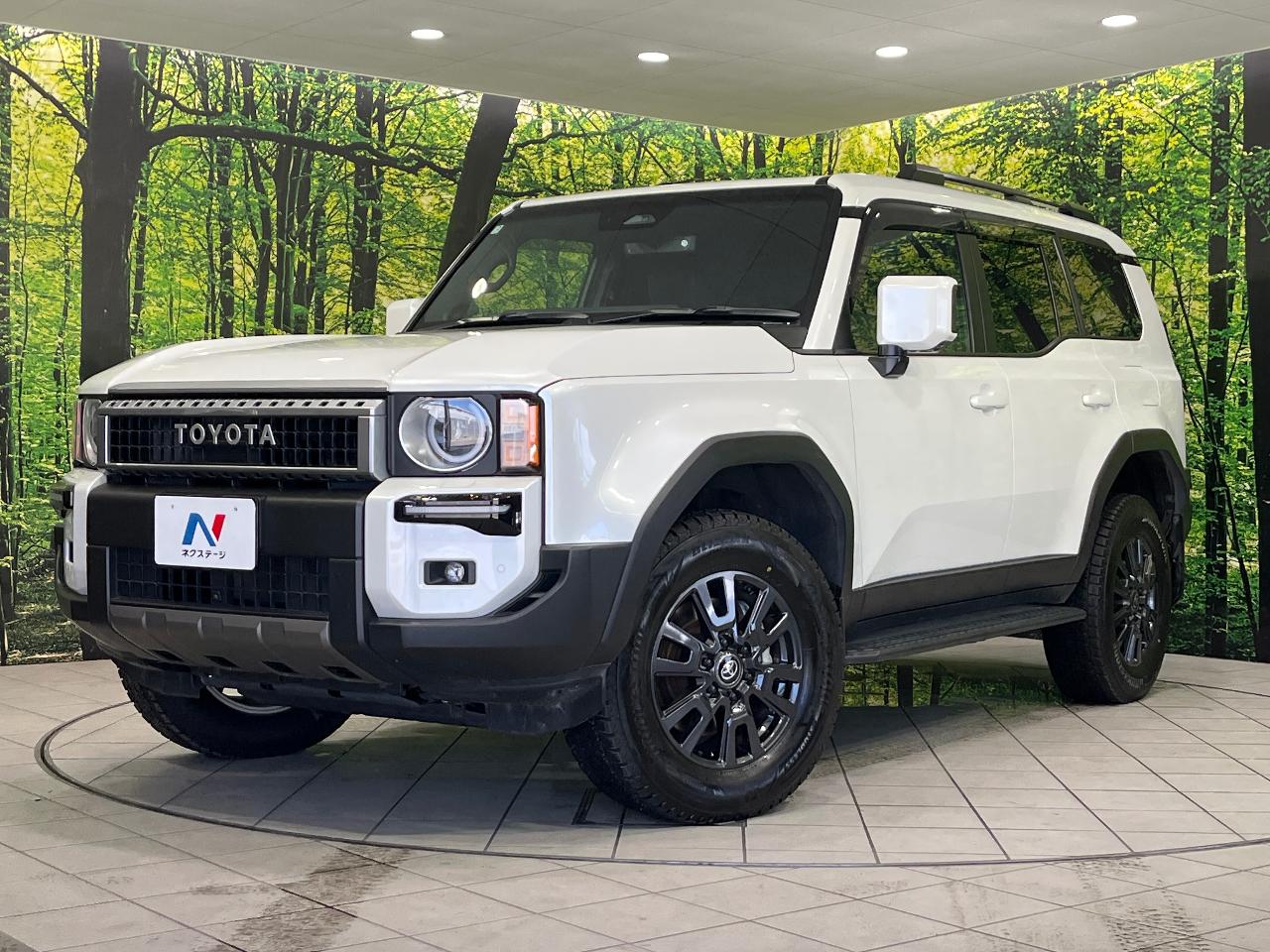 2025 Toyota LandCruiser 250 VX