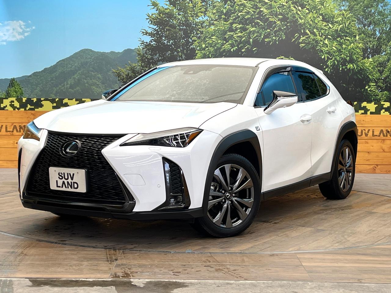 2023 Lexus UX Hybrid UX250h F SPORT