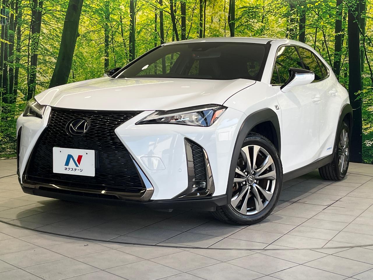 2019 Lexus UX Hybrid UX250h F SPORT
