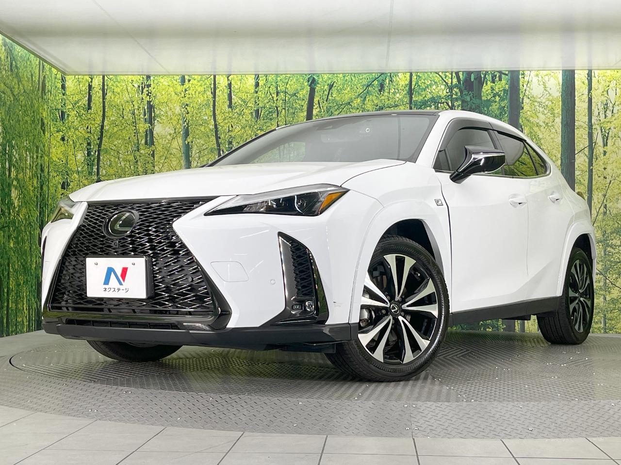2023 Lexus UX UX200 F Sport Emotional Explorer Special Edition