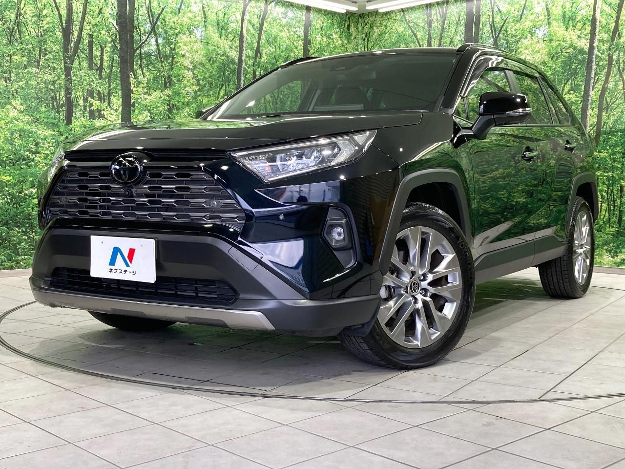 2023 Toyota RAV4 5D G Z Package