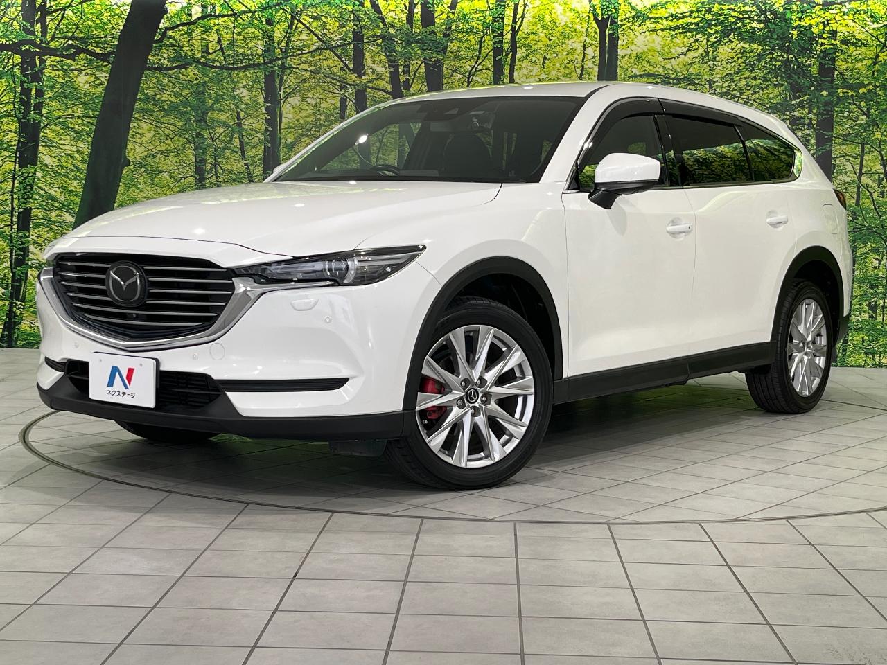 2018 Mazda CX-8 XD Proactive