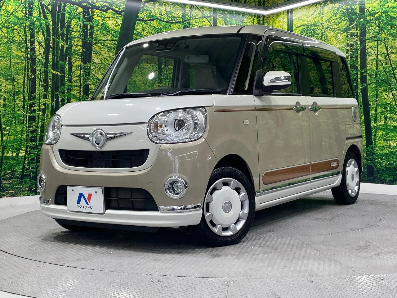 2018 Daihatsu Move Canbus G SAIII