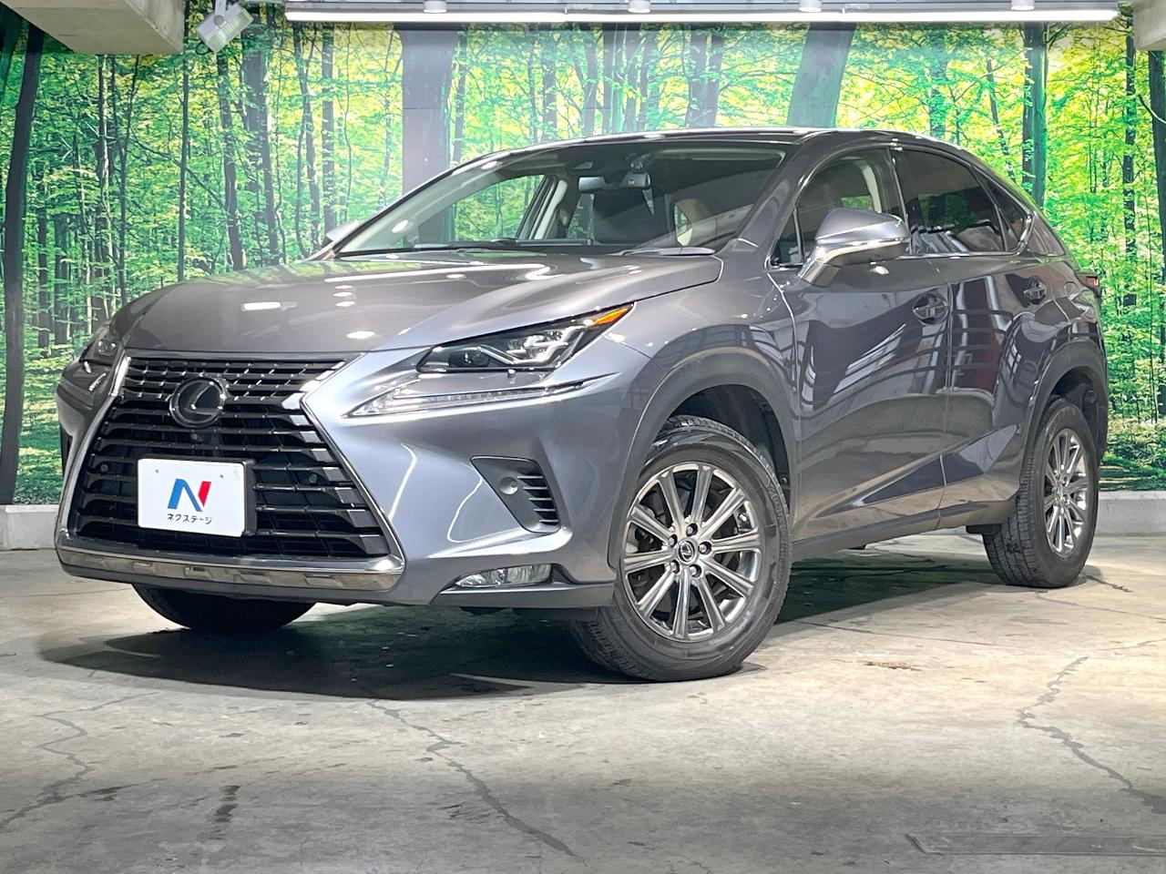 2019 Lexus NX NX300i Package