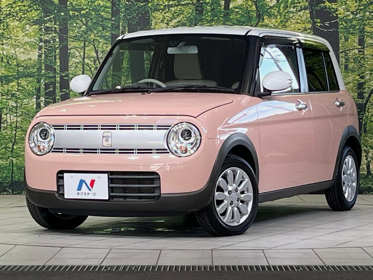 2017 Suzuki Alto Lapin X