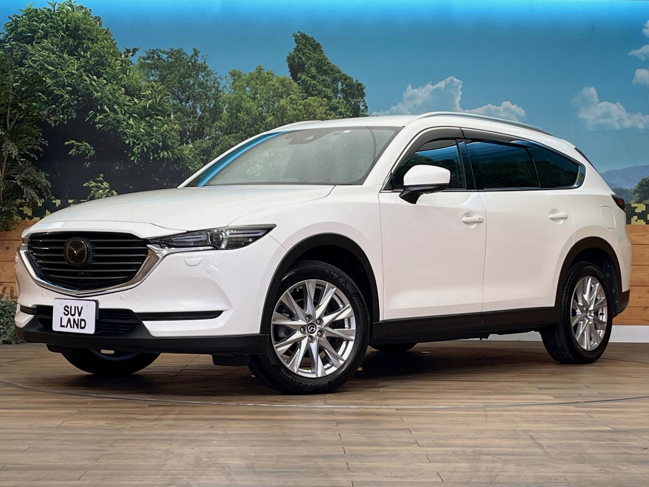 2017 Mazda CX-8 XD Proactive