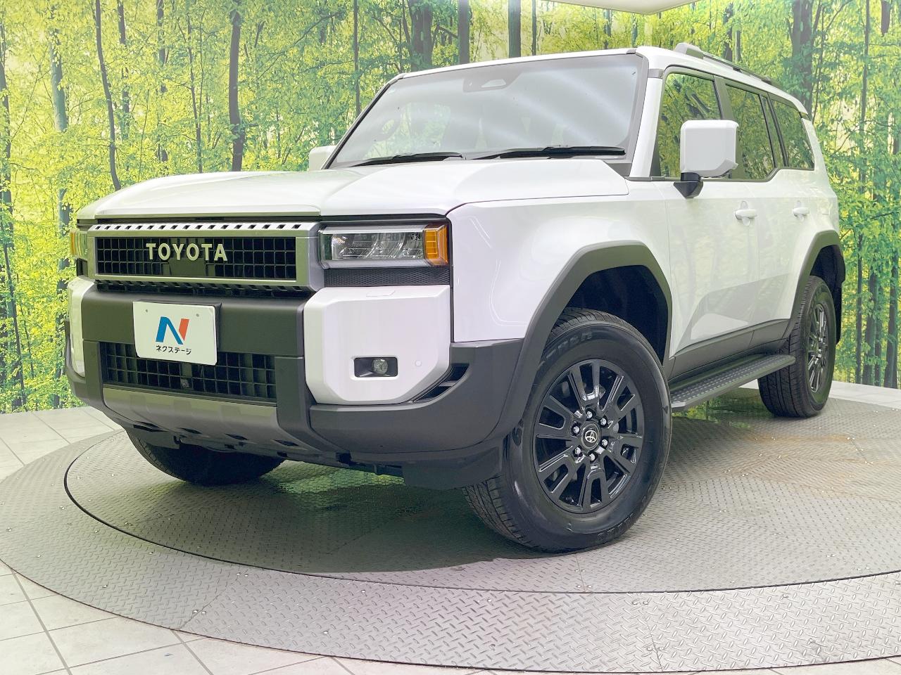 2025 Toyota LandCruiser 250 VX