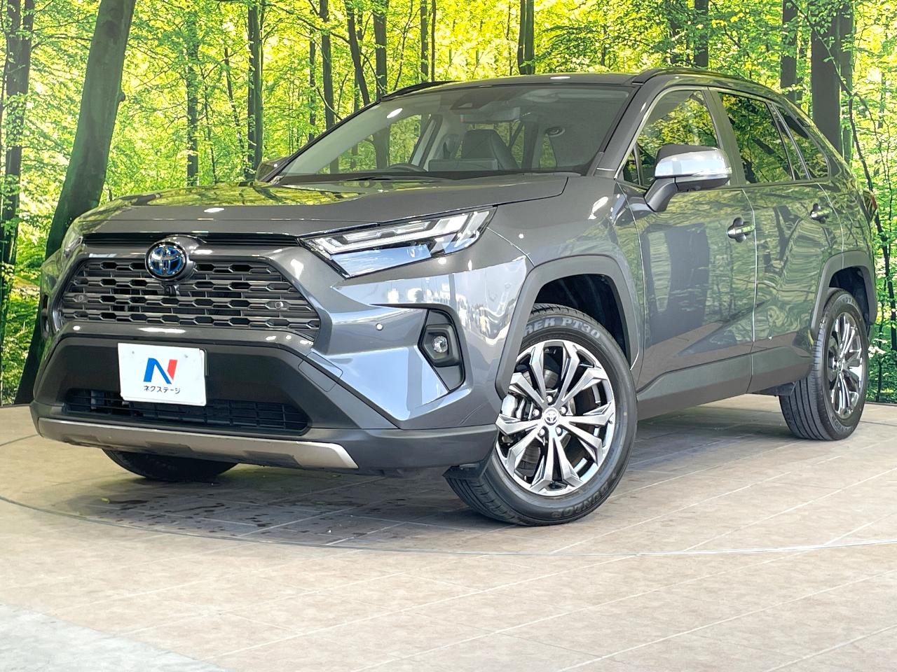 2023 Toyota RAV4 Hybrid Hybrid G