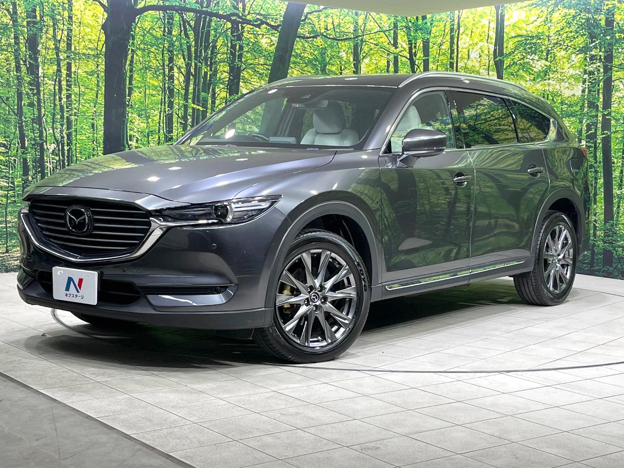 2019 Mazda CX-8 XD L Package