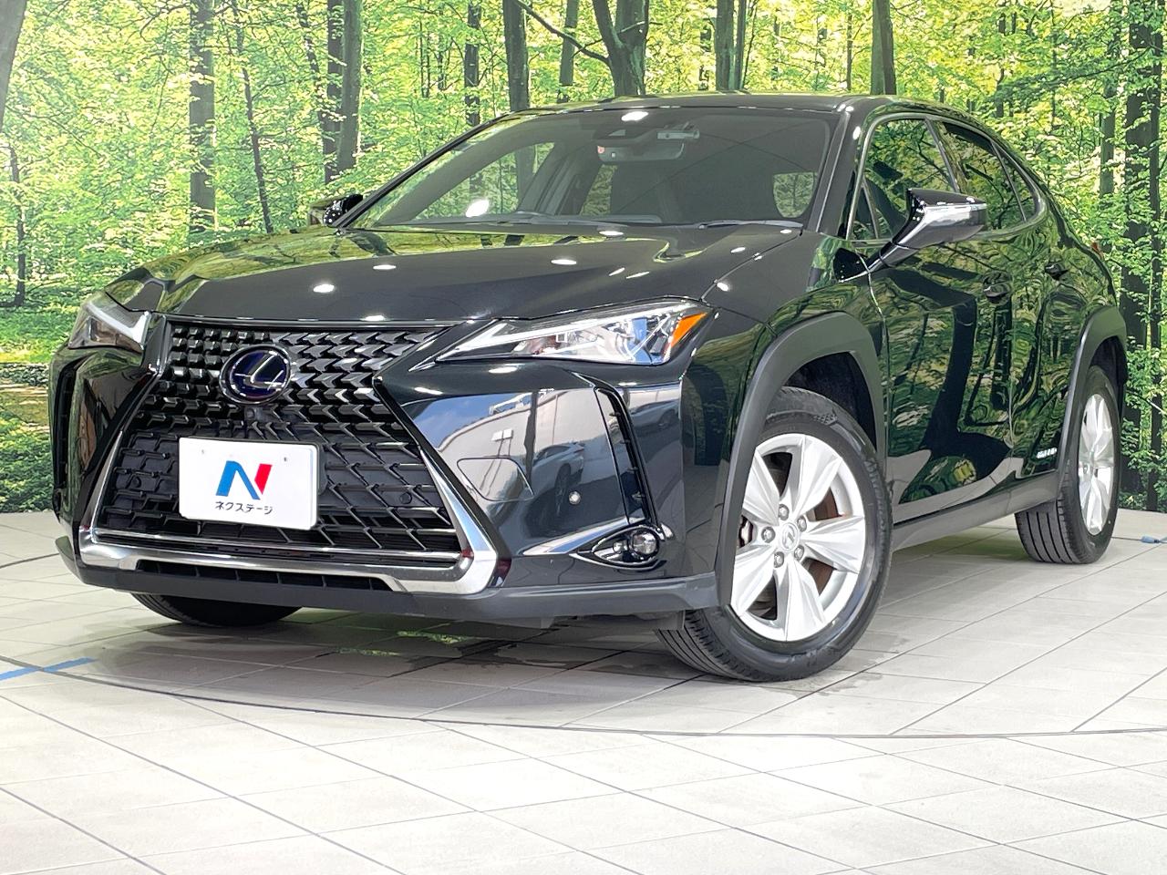2020 Lexus UX Hybrid UX250h VERSION C