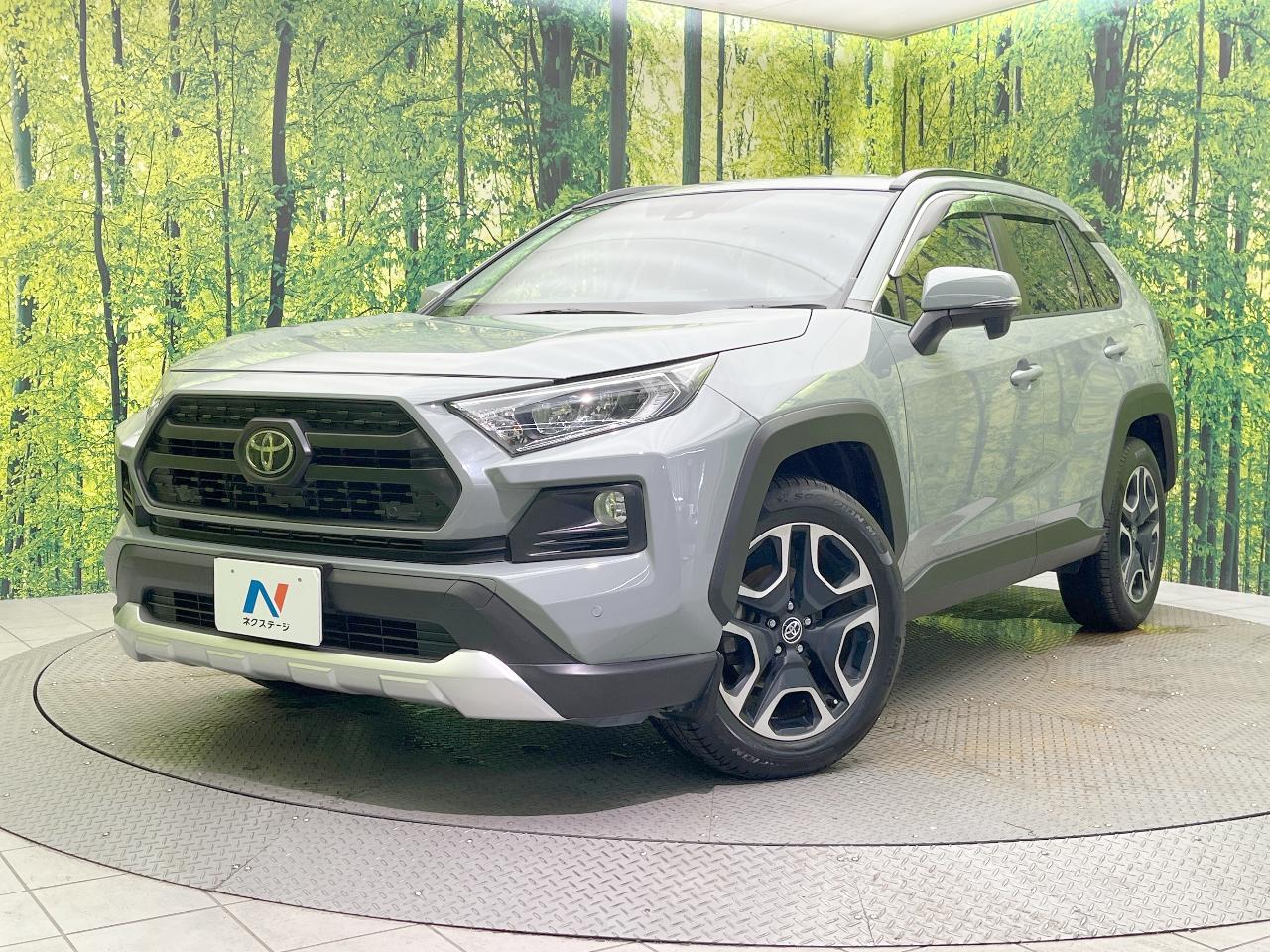 2019 Toyota RAV4 5D Adventure