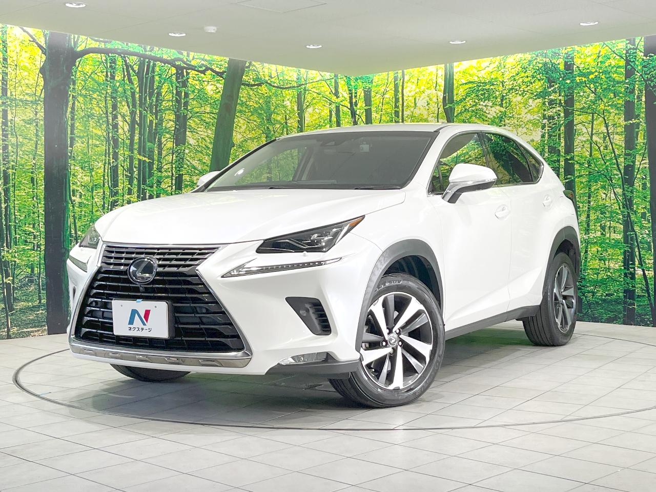 2018 Lexus NX NX300i Package
