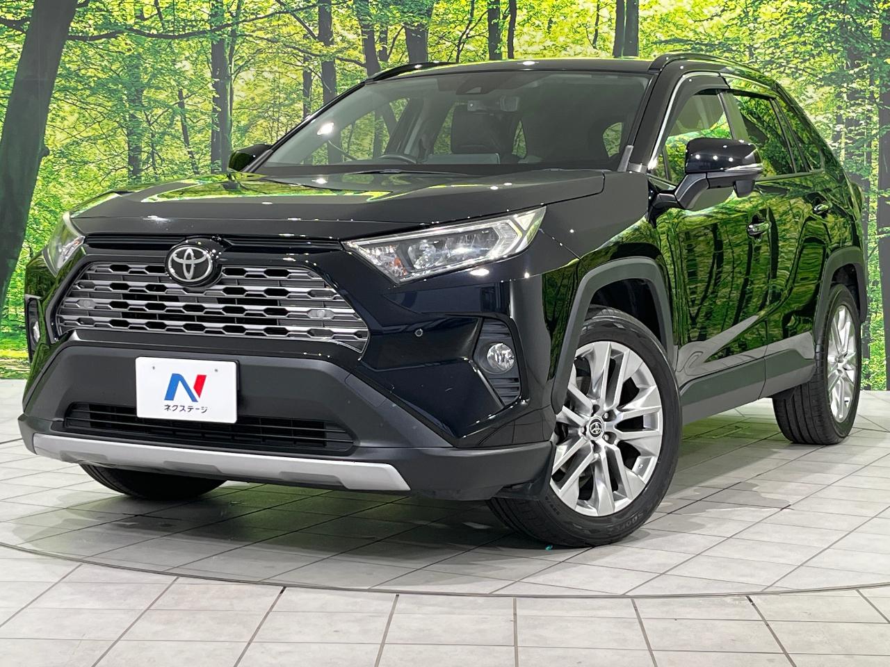 2019 Toyota RAV4 5D G Z Package