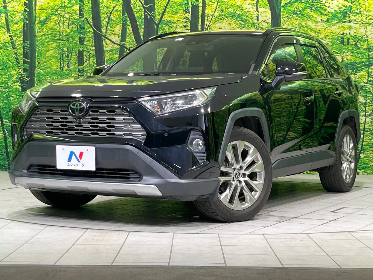 2021 Toyota RAV4 5D G Z Package