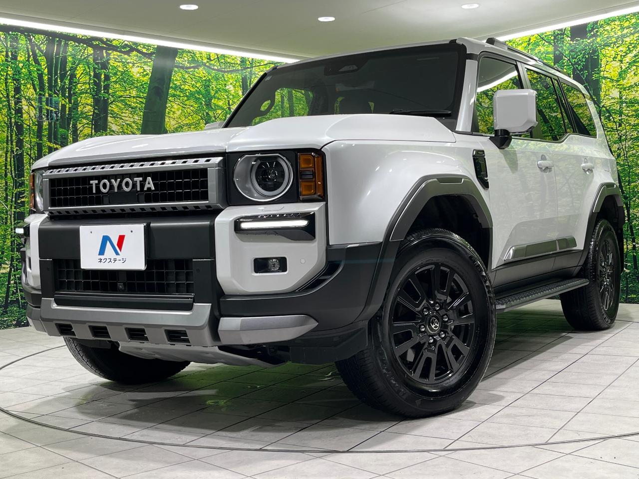 2025 Toyota LandCruiser 250 VX