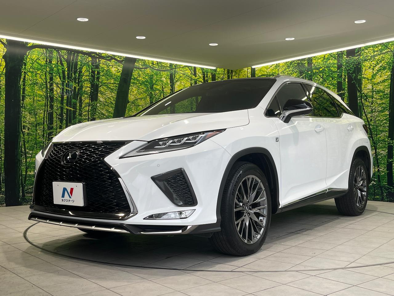2019 Lexus RX RX300 F Sport