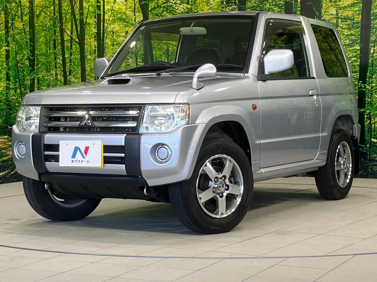 2009 Mitsubishi Pajeromini VR
