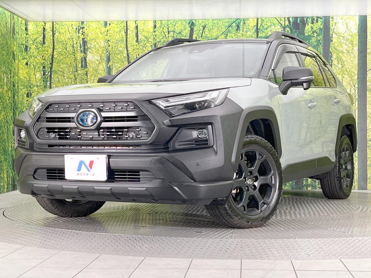 2024 Toyota RAV4 Hybrid Hybrid Adventure Offroad Package II